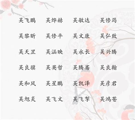 姓吳取名|吴姓寓意好的男孩名字（精选200个）